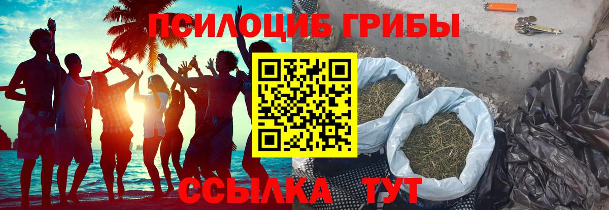 Галлюциногенные грибы Magic Shrooms  Вход с VPN  Котельники 