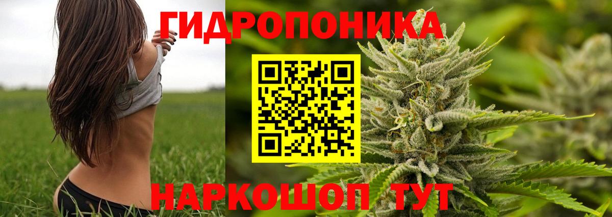Канабис индика  Шишки марихуана SATIVA & INDICA  Вход с VPN  Котельники  Конопля Ganja  Марихуана гибрид 